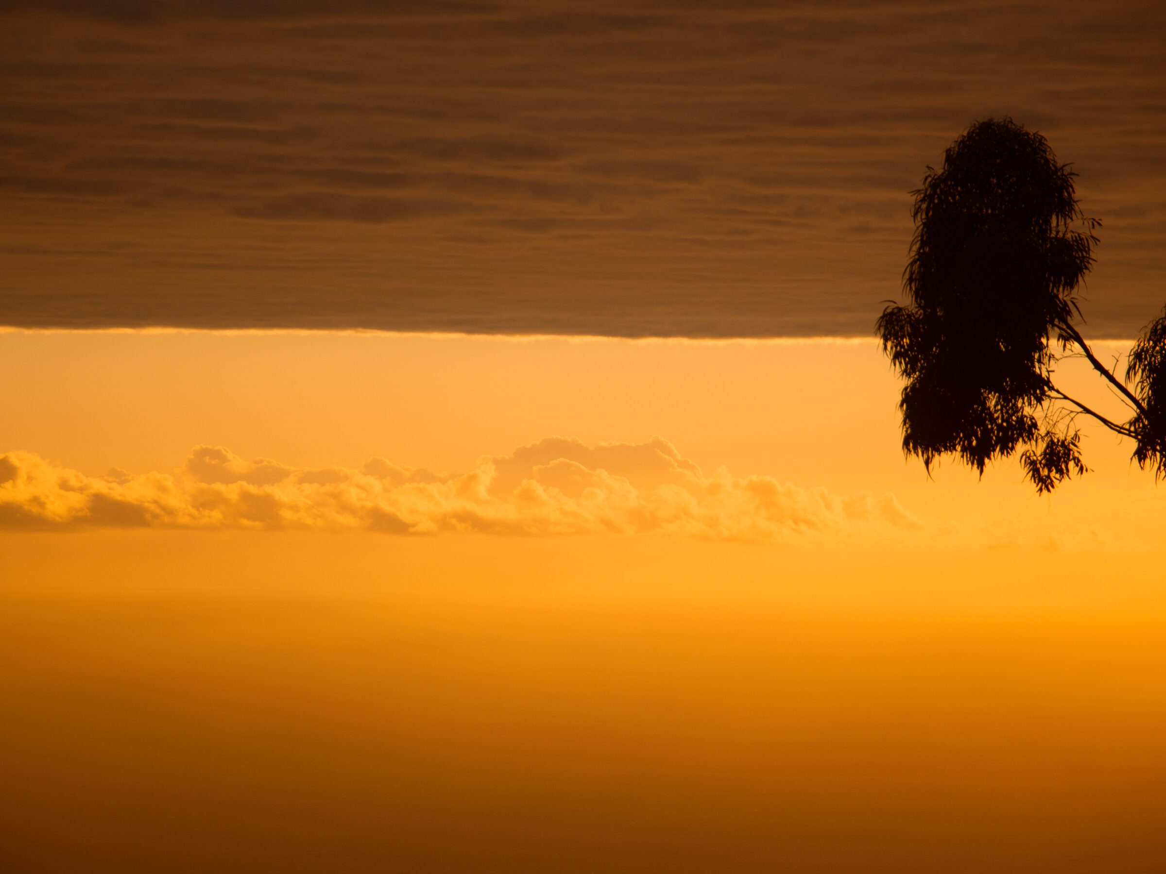 Photographie en couleur d'un coucher de soleil sous une mer de nuages